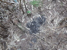 DSCN2230.JPG