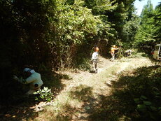 DSCN2254.JPG