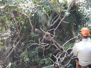 DSCN2367.JPG