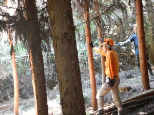DSCN2387.JPG