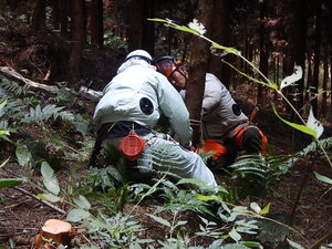 DSCN2398.JPG