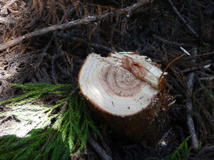 DSCN2493.JPG