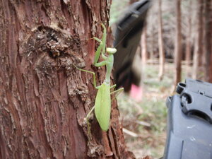 DSCN2552.JPG