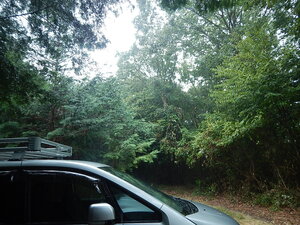 DSCN2561.JPG
