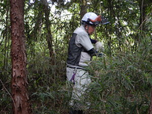 DSCN2574.JPG