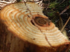 DSCN2664.JPG