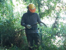DSCN2681.JPG