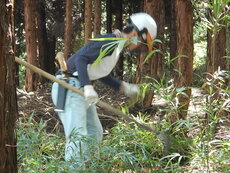 DSCN2691.JPG