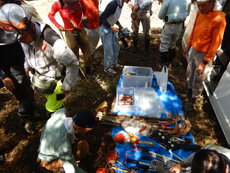 DSCN2730.JPG