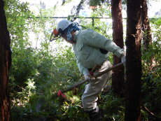 DSCN2740.JPG