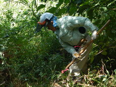 DSCN2745.JPG