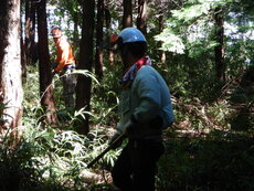 DSCN2757.JPG