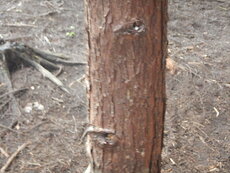 DSCN2759.JPG