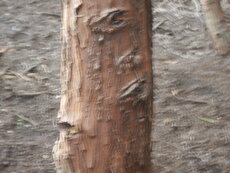 DSCN2760.JPG