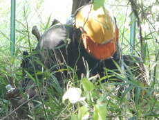DSCN2767.JPG