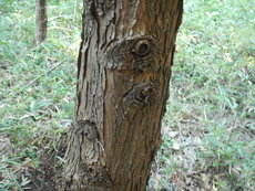 DSCN2773.JPG