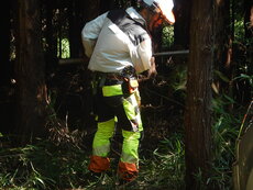 DSCN2776.JPG