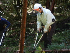 DSCN2786.JPG