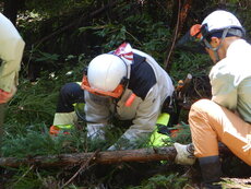 DSCN2790.JPG