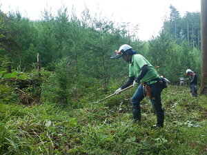 DSCN2803.JPG