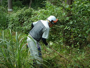 DSCN2817.JPG