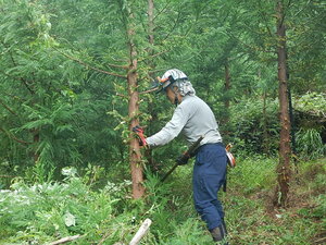 DSCN2835.JPG