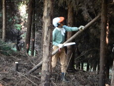 DSCN2836.JPG