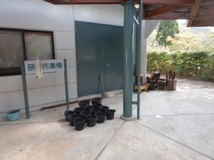 DSCN2852.JPG