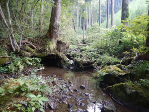 DSCN2891.JPG