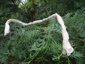 DSCN2904.JPG