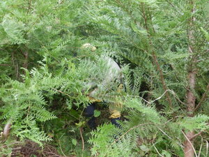 DSCN2905.JPG