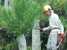 DSCN2906.JPG