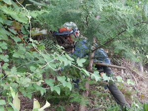 DSCN2912.JPG