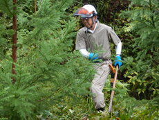 DSCN2974.JPG