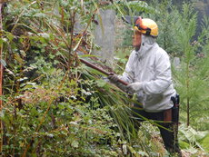 DSCN2977.JPG