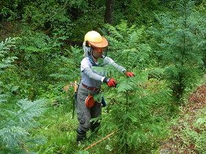 DSCN2978.JPG