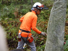 DSCN2985.JPG
