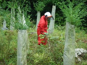 DSCN3007.JPG