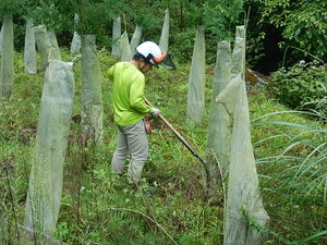 DSCN3008.JPG