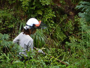 DSCN3071.JPG