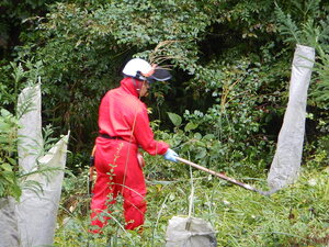 DSCN3080.JPG