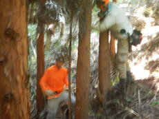 DSCN3084.JPG