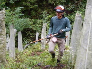 DSCN3092.JPG