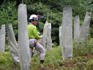 DSCN3109.JPG
