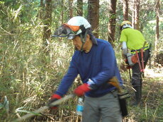 DSCN3119.JPG