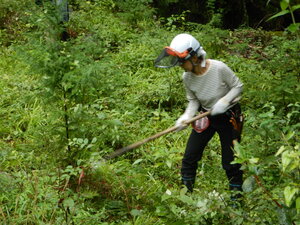 DSCN3124.JPG