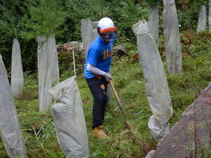 DSCN3132.JPG