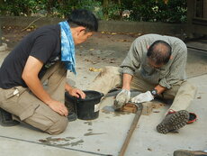 DSCN3138.JPG