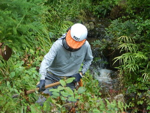 DSCN3168.JPG