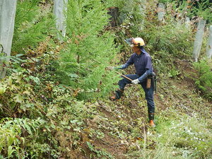 DSCN3176.JPG